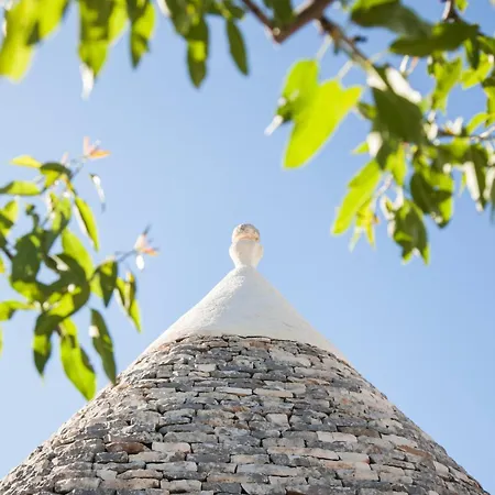 Trulli Controra Pensionat 3*