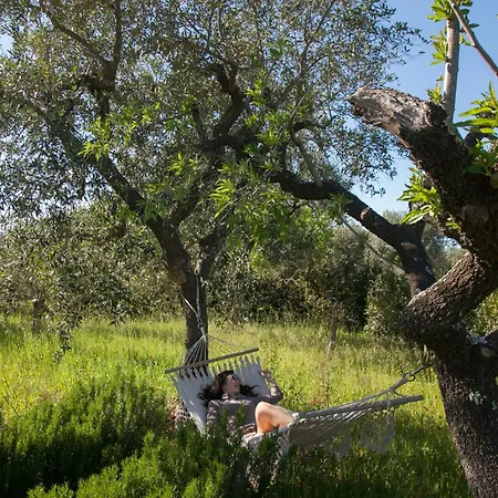 Trulli Controra Guest house Conversano