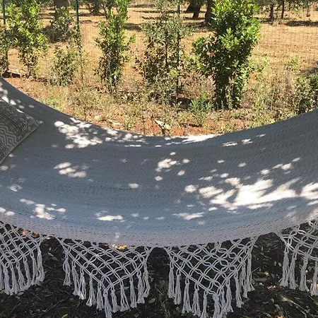 Trulli Controra Pensionat